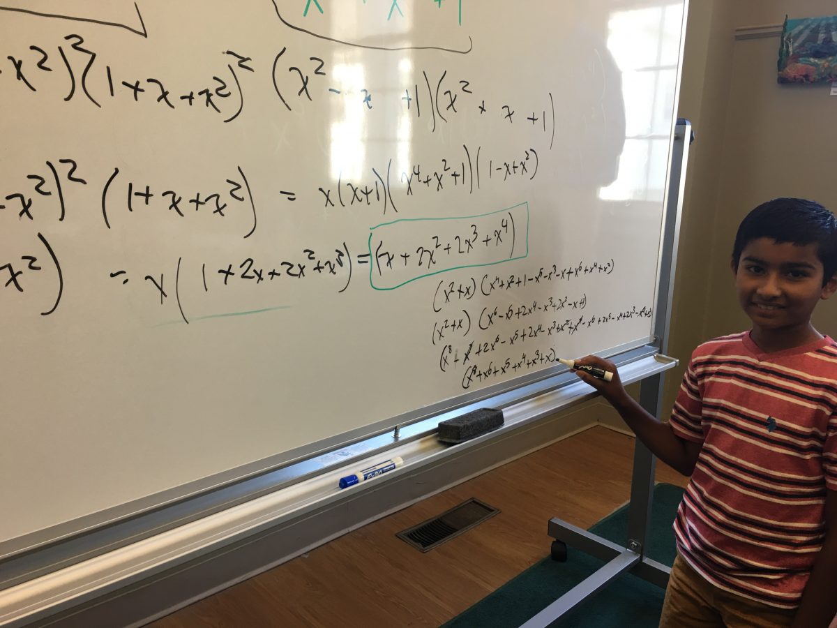 “You can use polynomials to factor dice into smaller dice – that was ...